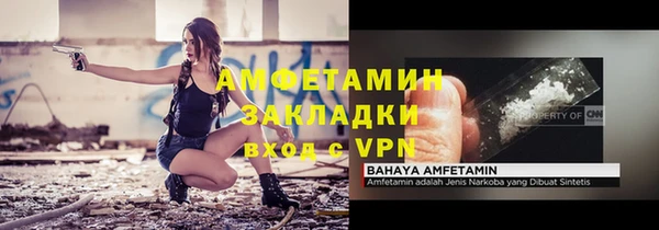 хмурый Верея