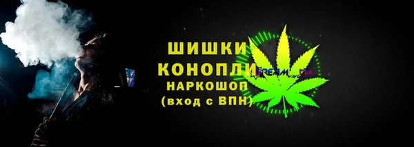 дурь Бронницы