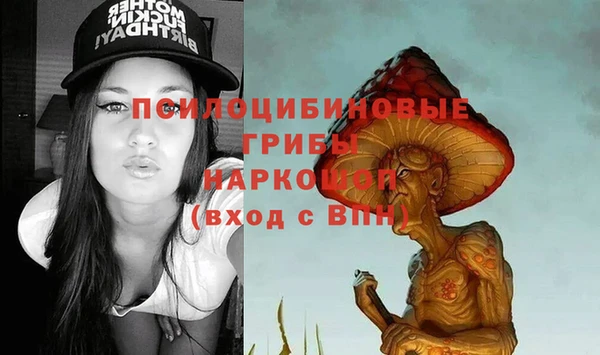 мяу мяу мука Бородино