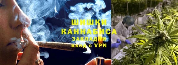 дурь Бронницы