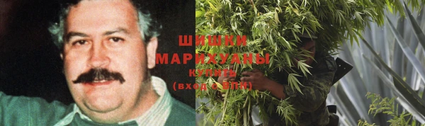 дурь Бронницы